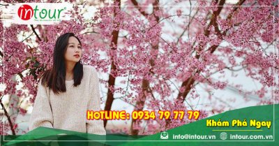 Tour Du Lịch Lạng Sơn - Nha Trang - Đà Lạt 4 Ngày 3 Đêm Năm 2025