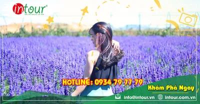 Tour Du Lịch Huế - Đà Lạt 3 Ngày 2 Đêm Năm 2026
