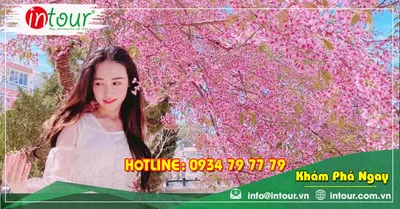 Tour Du Lịch Nha Trang - Đà Lạt khởi hành từ Bến Tre 4 Ngày 4 Đêm Năm 2026