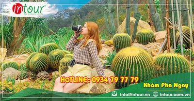 Tour Du Lịch Team Building Đà Lạt khởi hành từ Bạc Liêu 3 Ngày 3 Đêm Năm 2026
