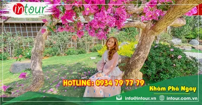 Tour Du Lịch Team Building Đà Lạt khởi hành từ Bến Tre 3 Ngày 3 Đêm Năm 2026