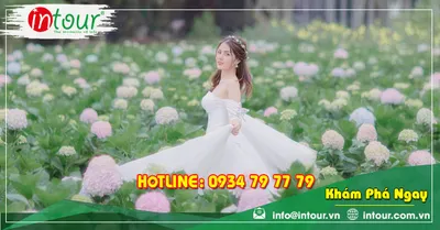 Tour Du Lịch Bắc Ninh - Nha Trang - Đà Lạt 4 Ngày 3 Đêm Năm 2026