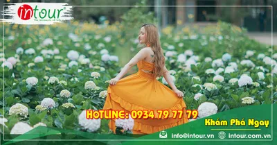 Tour Du Lịch Bắc Giang - Nha Trang - Đà Lạt 4 Ngày 3 Đêm Năm 2026