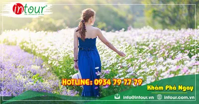 Tour Du Lịch Phan Thiết - Đà Lạt khởi hành từ Long An 4 Ngày 3 Đêm Năm 2026
