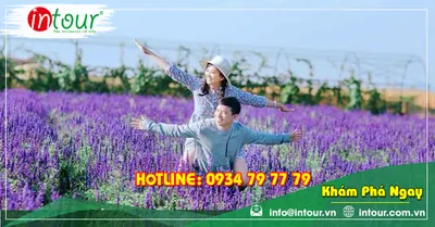 Tour Du Lịch Bình Phước - Nha Trang - Đà Lạt 4 Ngày 4 Đêm Năm 2026