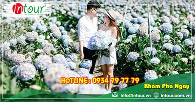 Tour Du Lịch Teambuilding Đà Lạt khởi hành từ Mỹ Tho - Tiền Giang 3 Ngày 3 Đêm Năm 2026