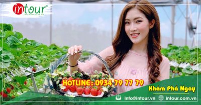 Tour Du Lịch Phan Thiết - Đà Lạt khởi hành từ Châu Đốc 4 Ngày 3 Đêm Năm 2025