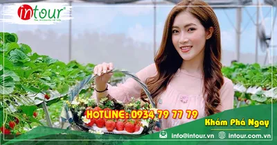 Tour Du Lịch Phan Thiết - Đà Lạt khởi hành từ Châu Đốc 4 Ngày 3 Đêm Năm 2026