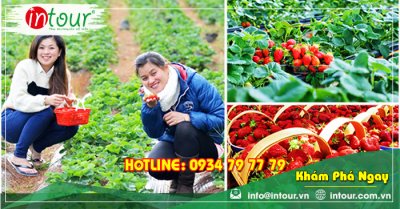 Tour Du Lịch Đồng Tháp đi Nha Trang - Đà Lạt 4 Ngày 4 Đêm Năm 2025