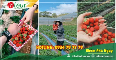 Tour Du Lịch Phan Thiết - Đà Lạt khởi hành từ Đồng Tháp 4 Ngày 3 Đêm Năm 2026