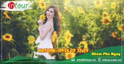 Tour Du Lịch Team Building Đà Lạt khởi hành từ Cần Thơ 3 Ngày 3 Đêm Năm 2025