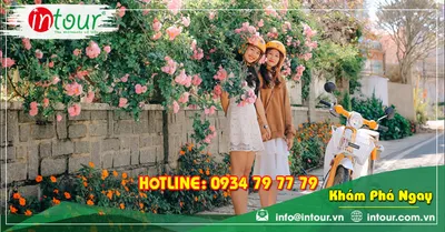 Tour Du Lịch Hải Phòng đi Nha trang - Đà Lạt 4 Ngày 3 Đêm Năm 2026
