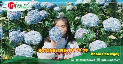 Tour Du Lịch Phan Thiết - Đà Lạt khởi hành tử Bến Tre 4 Ngày 3 Đêm Năm 2026