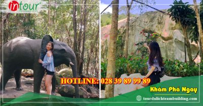 Tour Du Lịch Hưng Yên - Đảo Phú Quốc 4 Ngày 3 Đêm Năm 2025