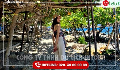 Tour Du Lịch Hải Dương - Đà Nẵng - Hội An - Bà Nà - Huế - Phong Nha 4 Ngày 3 Đêm Năm 2025