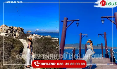 Tour Du Lịch Tuyên Quang - Nha Trang 4 Ngày 3 Đêm Năm 2026