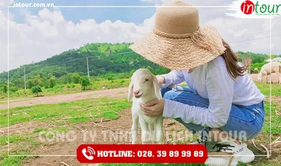Tour Du Lịch Nam Định - Bình Châu- Vũng Tàu 3 Ngày 2 Đêm Năm 2026