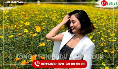 Tour Du Lịch Teambuilding Thái Nguyên - Bình Châu- Vũng Tàu 3 Ngày 2 Đêm Năm 2025