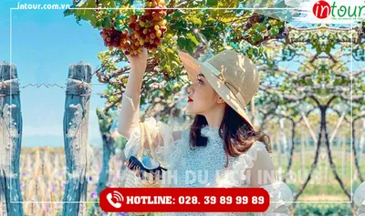 Tour Du Lịch Quảng Trị - Phan Thiết - Mũi Né 3 Ngày 2 Đêm Năm 2026