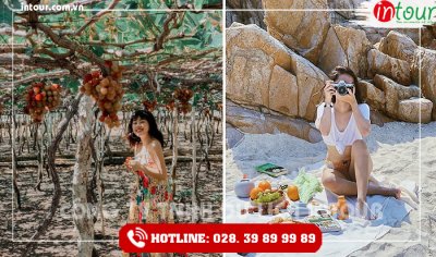 Tour Du Lịch Teambuilding Cần Thơ đi Ninh Chữ - Vĩnh Hy 3 Ngày 3 Đêm Năm 2025