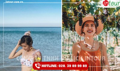 Tour Du Lịch Bà Rịa - Vũng Tàu - Ninh Chữ - Vĩnh Hy 3 Ngày 2 Đêm Năm 2025