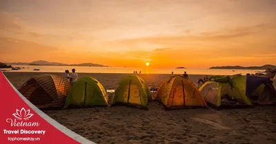 Tour Cắm Trại + BBQ Bãi biển FLC Nhơn Lý Quy Nhơn 1 Đêm 2026