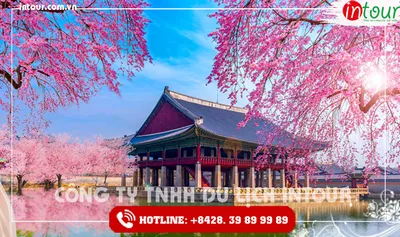 Tour Du Lịch Hàn Quốc Seoul – Nami – Everland 5 Ngày 4 Đêm 2026