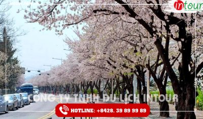 Tour Du Lịch Hàn Quốc Incheon - Đảo Nami - Everland - City Tour 4 Ngày 4 Đêm 2025