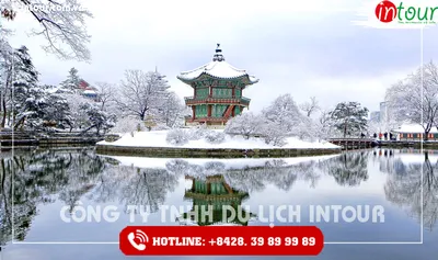 Tour Du Lịch Hàn Quốc Đảo Nami - Everland - Cung Điện Gyeongbok 4 Ngày 3 Đêm 2026