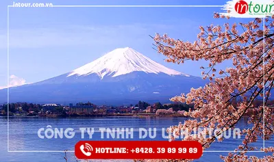 Tour Du Lịch Nhật Bản Tokyo - Núi Phú Sĩ - Yokohama - Odaiba 4 Ngày 3 Đêm 2026