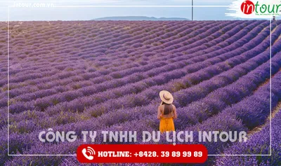Tour Pháp 6 Ngày 5 Đêm Tết 2027