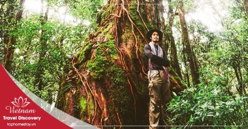 Tour Trekking Vườn Quốc Gia Bidoup 3 Ngày 2 Đêm Năm 2025