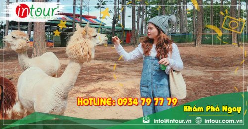 Tour Du Lịch Nha Trang - Đà Lạt 5 Ngày 4 Đêm