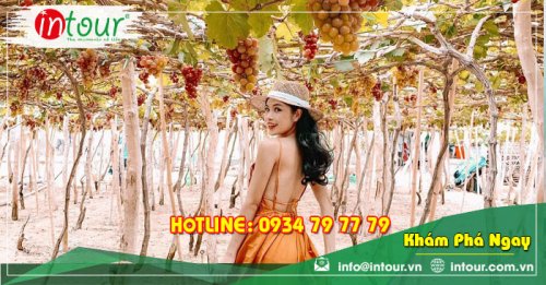 Tour Du Lịch Ninh Chữ - Bình Hưng 3 Ngày 2 Đêm