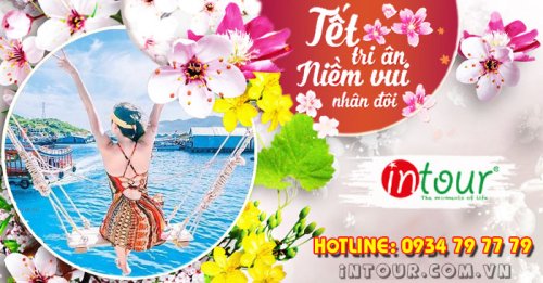 Tour Du Lịch Đảo Bình Hưng 2 Ngày 2 Đêm Tết Nguyên Đán 2026