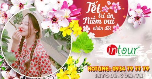 Tour Du Lịch Đà Lạt 3 Ngày 2 Đêm Tết Nguyên Đán 2026