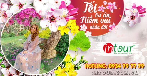 Tour Du Lịch Đà Lạt 4 Ngày 3 Đêm Tết Nguyên Đán 2026