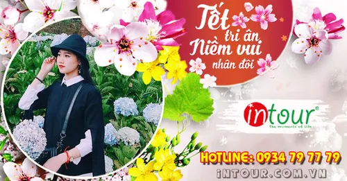 Tour Du Lịch Đà Lạt 3 Ngày 3 Đêm Tết Nguyên Đán 2026