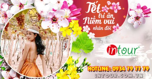 Tour Du Lịch Ninh Chữ - Vĩnh Hy 3 Ngày 2 Đêm Tết Nguyên Đán 2026