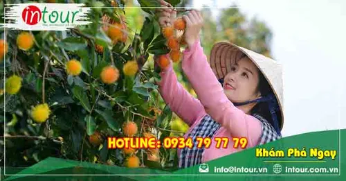 Tour Du Lịch Nghệ An (Vinh) - Phú Quốc - Miền Tây 6 Ngày 5 Đêm Năm 2026