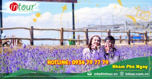 Tour Du Lịch Nha Trang - Đà Lạt khởi hành từ Cà Mau 4 Ngày 4 Đêm Năm 2025