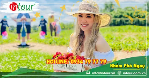 Tour Du Lịch Sơn La - Đà Lạt 3 Ngày 2 Đêm Năm 2026