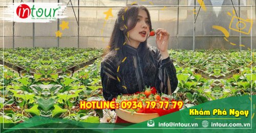 Tour Du Lịch Team Building Đà Lạt khởi hành từ Hậu Giang 3 Ngày 3 Đêm Năm 2025