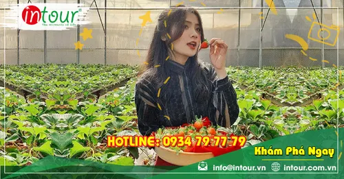 Tour Du Lịch Team Building Đà Lạt khởi hành từ Hậu Giang 3 Ngày 3 Đêm Năm 2026