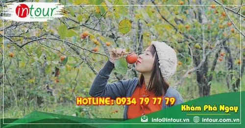 Tour Du Lịch Quảng Nam - Nha trang - Đà Lạt 4 Ngày 3 Đêm Năm 2026
