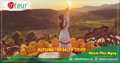 Tour Du Lịch Bắc Giang - Đà Lạt 3 Ngày 2 Đêm Năm 2026