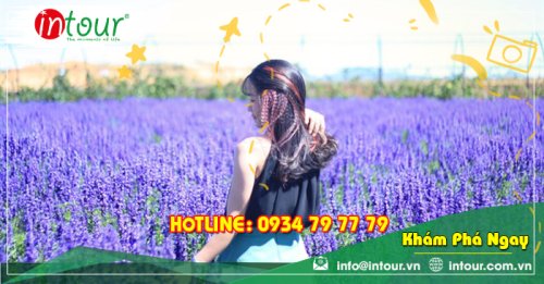 Tour Du Lịch Hưng Yên - Nha Trang - Đà Lạt 4 Ngày 3 Đêm Năm 2025