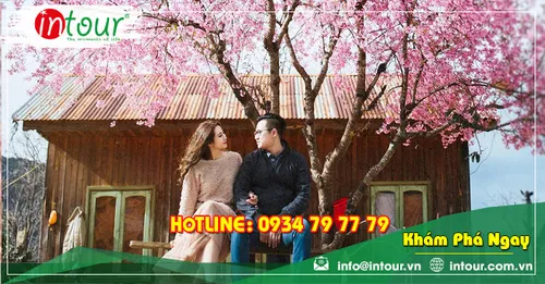 Tour Du Lịch Team Building Đà Lạt khởi hành từ Trà Vinh 3 Ngày 3 Đêm Năm 2026