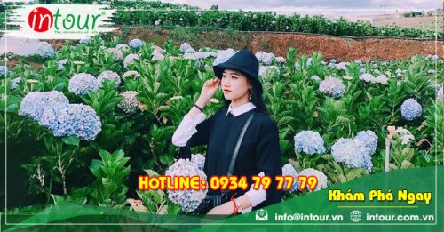 Tour Du Lịch Phan Thiết - Đà Lạt khởi hành Bạc Liêu 4 Ngày 3 Đêm Năm 2025