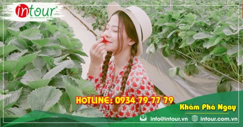 Tour Du Lịch Nha Trang - Đà Lạt khởi hành từ Bạc Liêu 4 Ngày 4 Đêm Năm 2025